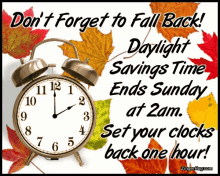 Daylight Savings Time Ends Fall Back GIF - Daylight Savings Time Ends Fall Back Time Change GIFs