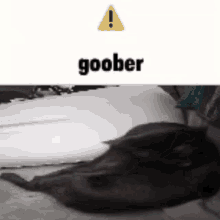 Goober Silly GIF - Goober Silly Jokester GIFs