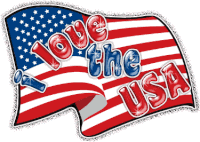 Love Flag Sticker - Love Flag I Love The Usa Stickers