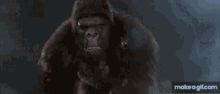 King Kong GIF - King Kong Lives GIFs