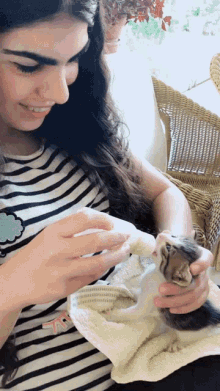 Feeding Ela Kir GIF - Feeding Ela Kir Kitten GIFs