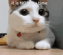 It Is Not Aba Time It Is Aba Time GIF