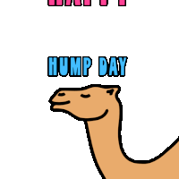 Happy Hump Day Wednesday Is Hump Day Sticker
