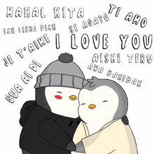 love i love you penguin iloveyou pudgy