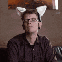 Hank Green Cat Ears GIF