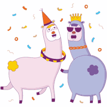 drama llama party happy confetti crown
