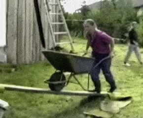 Landscaping GIF - Landscaping Fail Fall - Discover & Share GIFs
