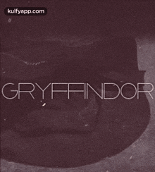 Gryfandor.Gif GIF - Gryfandor Clothing Apparel GIFs