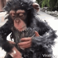 viralhog monkey chimpanzee soapy bath