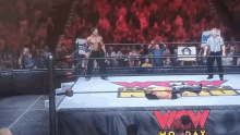two men are wrestling in a ring with the word wow on the side