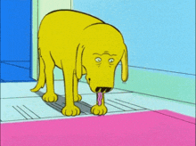 a yellow dog is standing on a pink rug in a room .