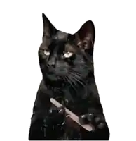 a black cat is holding a wooden stick in its paw .