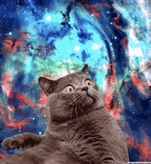 GIF