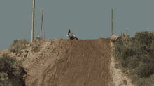 Driving Downhill Red Bull GIF - Driving Downhill Red Bull Over The Hill With My Motorbike GIFs