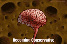 Becomingconservative Becoming GIF - Becomingconservative Becoming Conservative GIFs