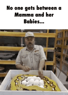 Snake Nobody Gets Between Mamma And Her Babies GIF