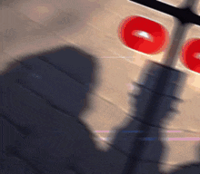 a shadow of a person is cast on a wooden surface in front of a sign that says no entry