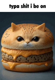 Typa Shit I Be On Cat GIF - Typa Shit I Be On Cat Burger GIFs
