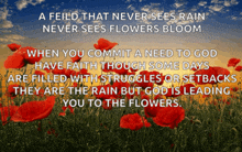 a field that never sees rain never sees flowers bloom when you commit a need to god have faith though some days