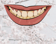 Shrgermany Beauty GIF - Shrgermany Beauty Teeth GIFs