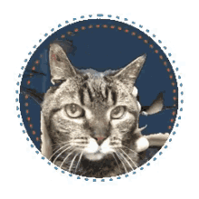 a cat is in a circle with a blue and red border