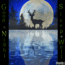 Good Night Have A Nice Dream GIF - Good Night Have A Nice Dream Sleep Well GIFs