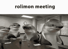 Rolimon Rolimons GIF