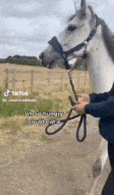 Im So Hungry Horse GIF - Im So Hungry Horse How Hungry GIFs