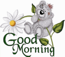 good morning morning greeting flower bear