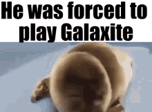 Galaxite GIF
