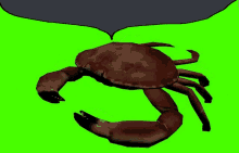Crab Krab With Speech GIF - Crab Krab With Speech GIFs