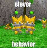 Chao Elovor GIF - Chao Elovor Behavior GIFs