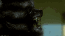 Werewolf Howling GIF - Werewolf Howling Transform GIFs
