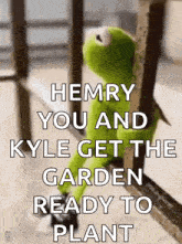 kermit the frog is sitting on a railing and saying `` hemry you and kyle get the garden ready to plant ''