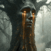 a picture of a tree with a woman 's face on it