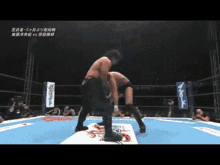 Njpw New Japan Pro Wrestling GIF - Njpw New Japan Pro Wrestling Tetsuya Naito GIFs