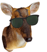 Cool Deer Deer Sticker - Cool Deer Deer Sunglasses Stickers