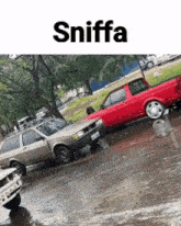 Sniff Car GIF