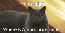 Nw Announcement Stups GIF - Nw Announcement Stups Where GIFs