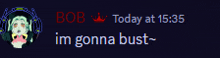 a bob today at 15:35 im gonna bust message