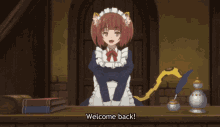 welcome back cat girl cat woman cat maid maid