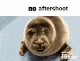 Arn'Hack No Aftershoot GIF - Arn'Hack No Aftershoot No Logs GIFs