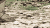 a drawing of a person 's feet walking across a river