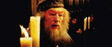 dumbledore albus percival wulfric brian dumbledore harry potter