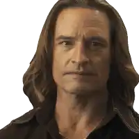 a close up of a man 's face with long brown hair