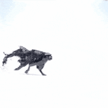 a statue of a cheetah is covered in liquid