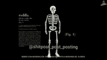 skeleton esqueleto sketch caveira
