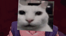 Gohan Beast Evil GIF - Gohan Beast Evil Cat GIFs