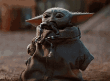 Baby Yoda Spit Frog GIF