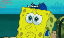 آسف GIF - Sponge Bob Sorry Sad GIFs